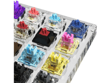 Switches Para Teste Akko x MonsGeek, 16 Teclas